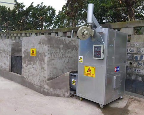 免费的看片网站