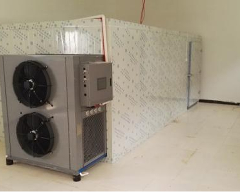 免费的看片网站