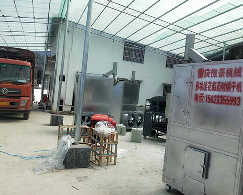 重慶免费的看片网站