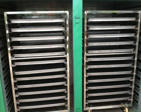 免费的看片网站